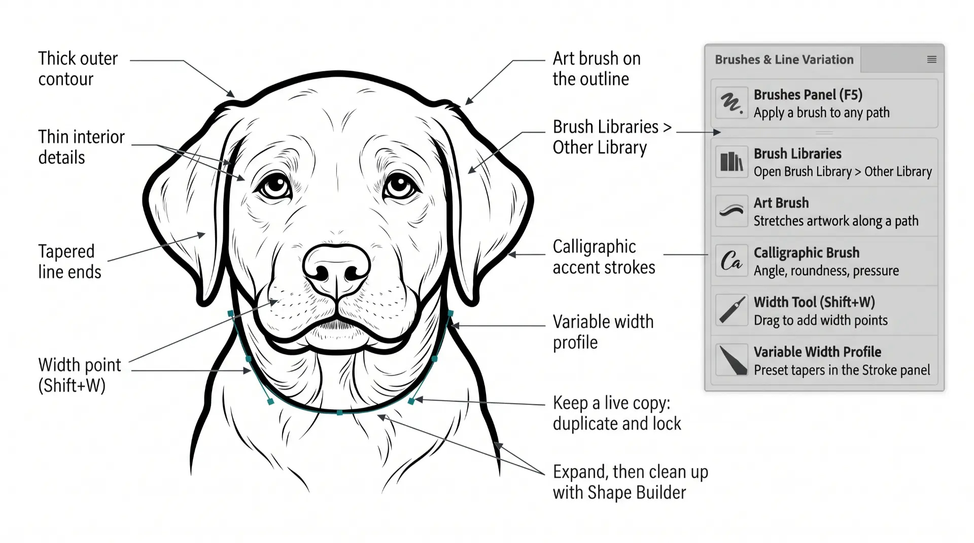 beginner adobe illustrator tutorial posicle